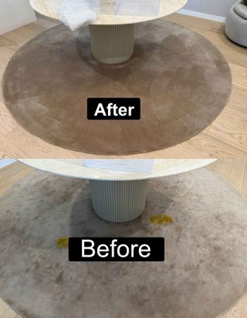 Rugs Cleaning (3)