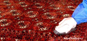 queens rug cleaning service