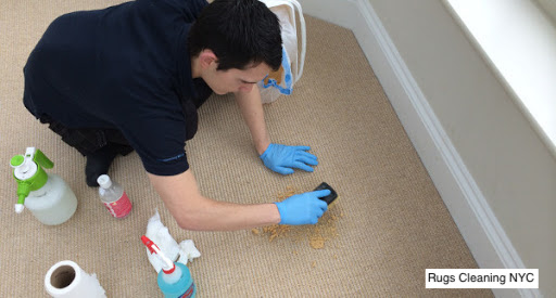 sisal rug cleaning service